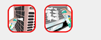 neopol.png